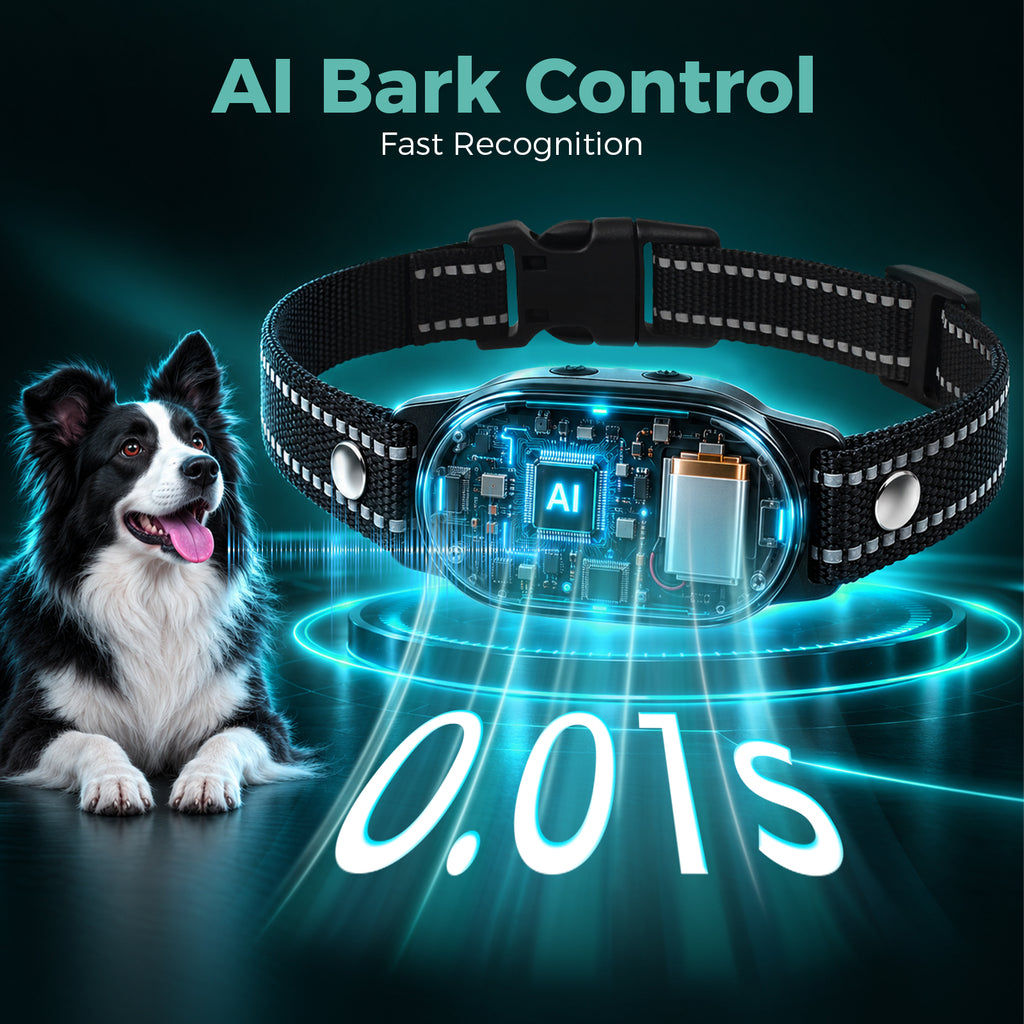 Dog Training Collar, Rechargeable Anti-Bark Collar | SEVY