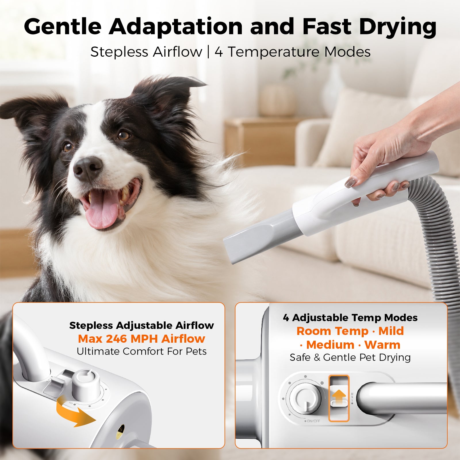 2-in-1 Dog Grooming Vacuum, Dog Dryer & Blower | Sevy Sucky