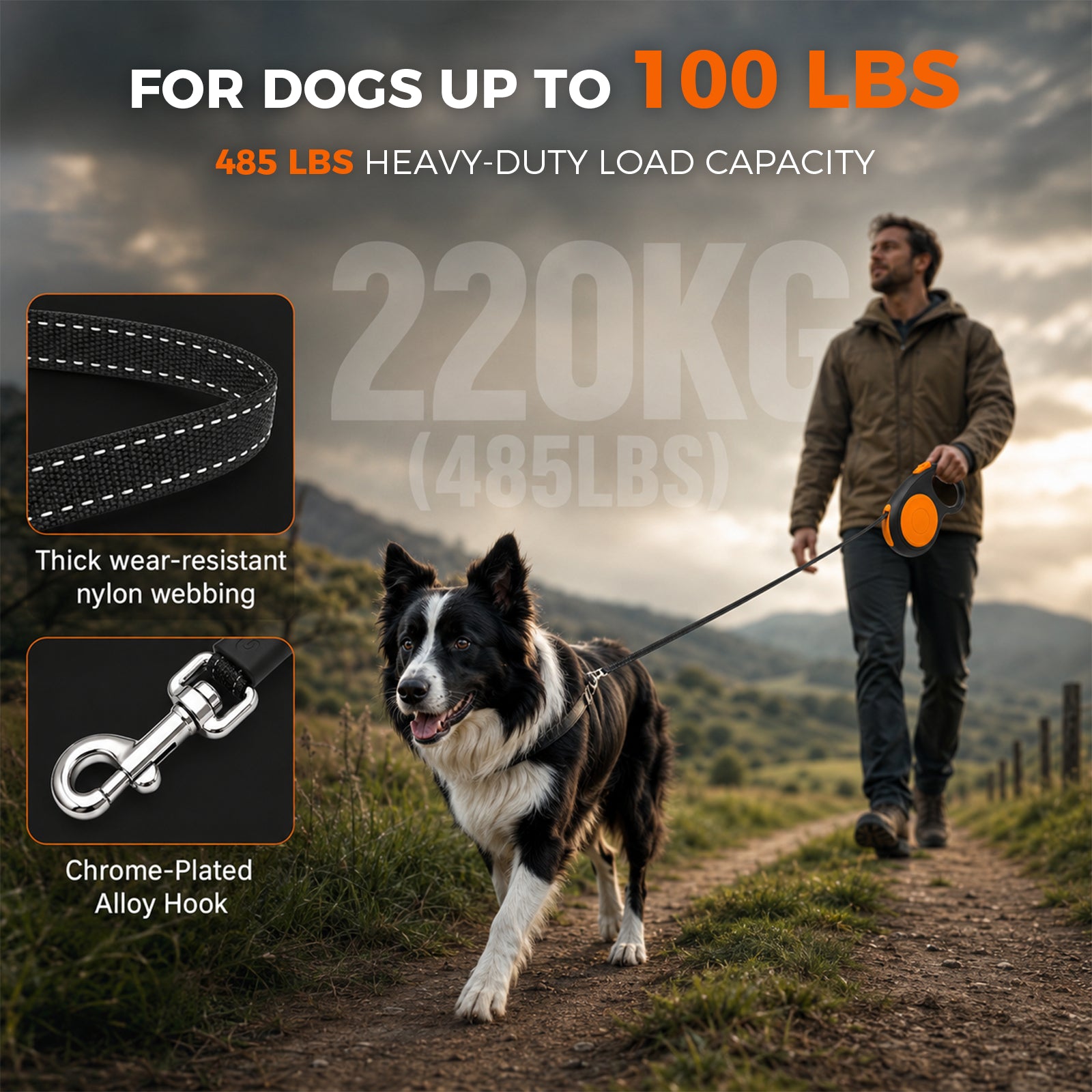 26ft Retractable Dog Leash for Large Small Dogs up to 100lbs, 360° Tangle-Free Retraction | Sevy Stretch