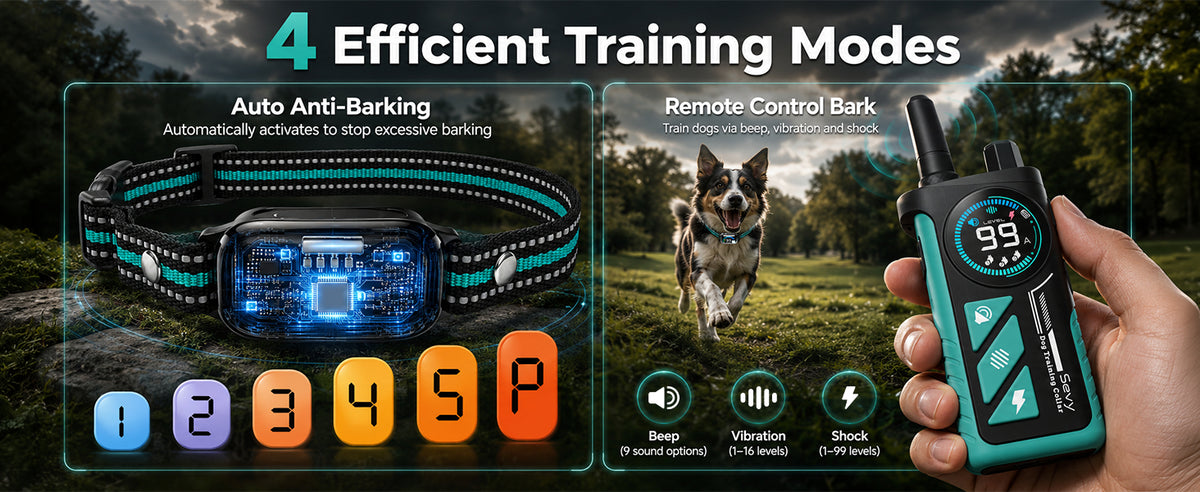 4 efficient training modes