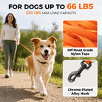 16ft Retractable Dog Leash with LED Light for Small Medium Large Dogs up to 66 lbs | Sevy Glowie