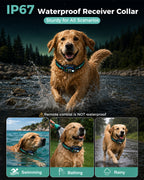 SEVY dog collar with IP67 waterproof receiver collar