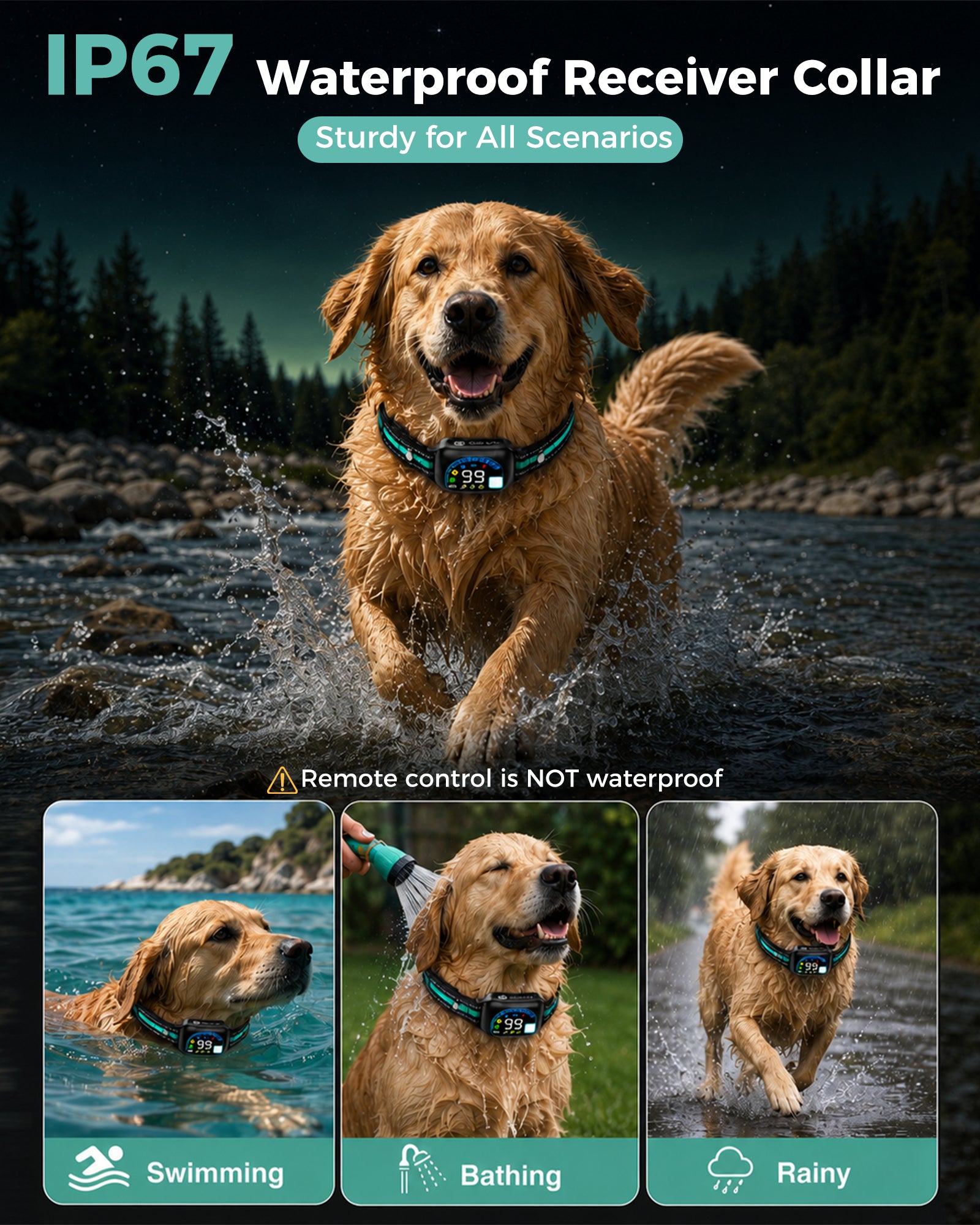 SEVY dog collar with IP67 waterproof receiver collar