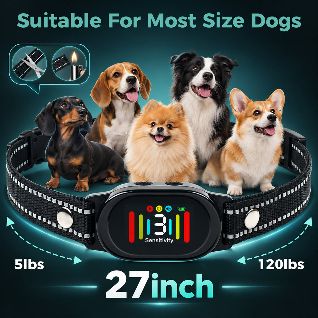 suitable for most size dogs